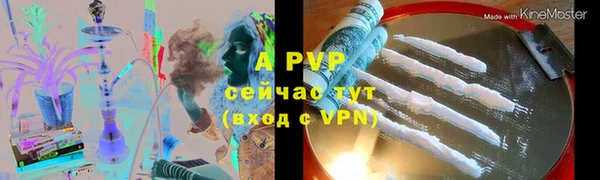 PSILOCYBIN Нефтегорск