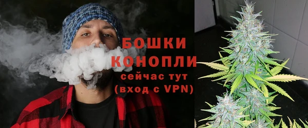 PSILOCYBIN Нефтегорск