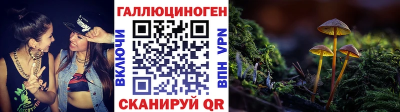 гидра как войти  Фокино  Галлюциногенные грибы прущие грибы 